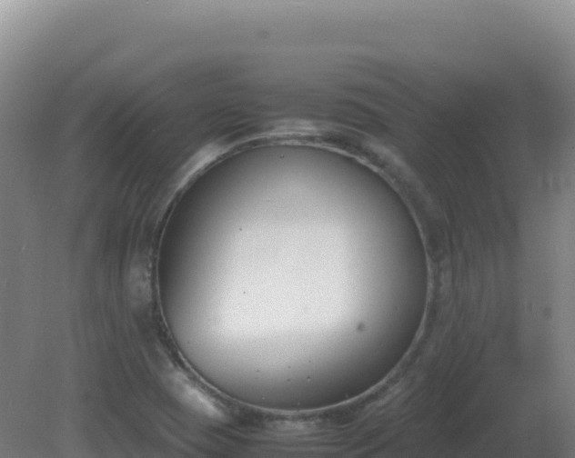 X0000081371409200701182127
