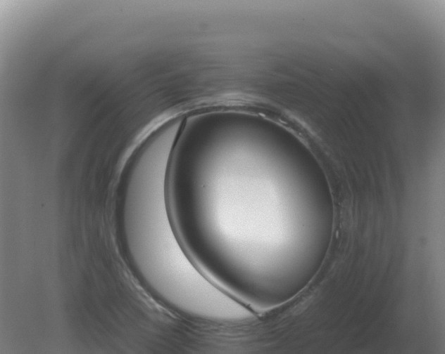 X0000081371410200701182127
