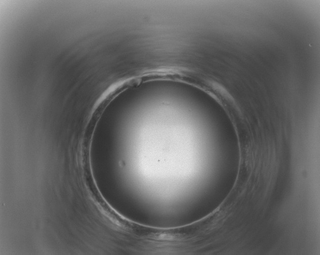 X0000081371412200701182127