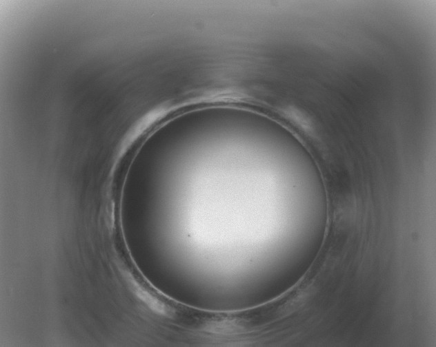 X0000081371414200701182127