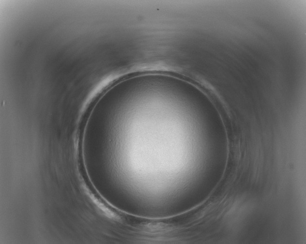 X0000081371416200701182127