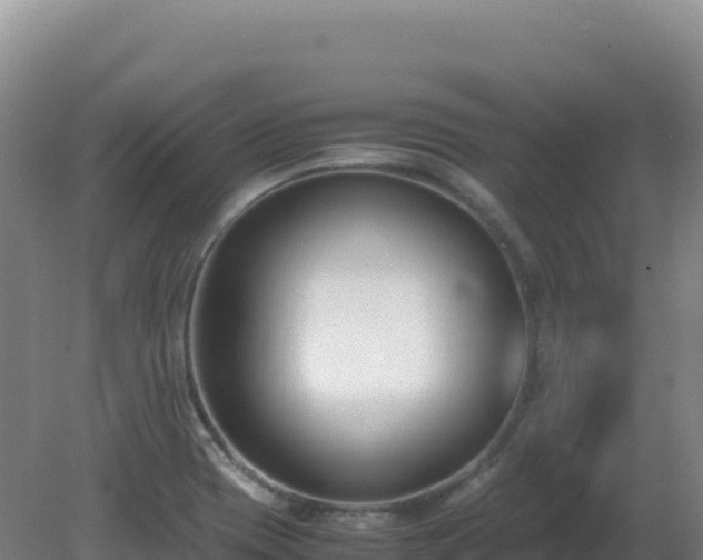 X0000081371417200701182127