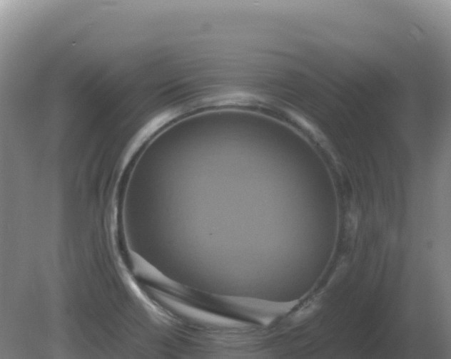 X0000081371418200701182127