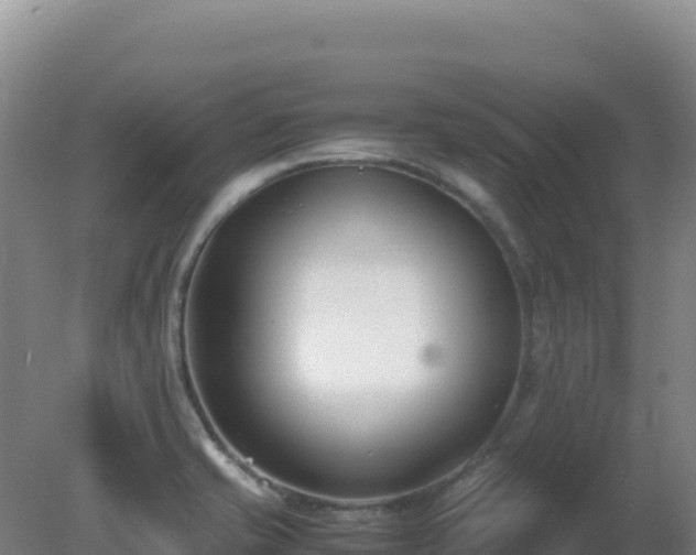 X0000081371421200701182127