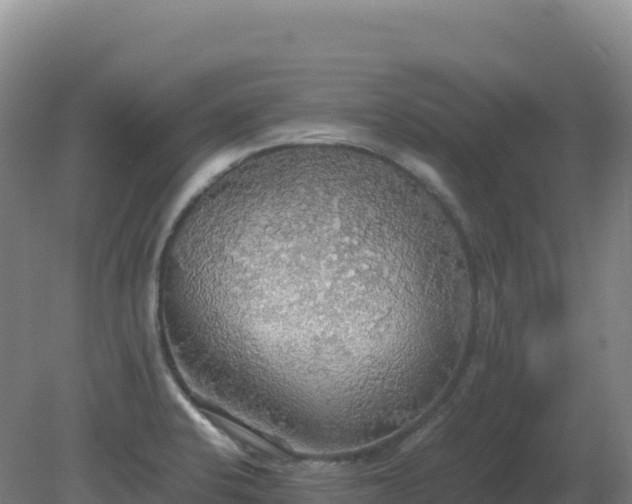 X0000081371424200701182127