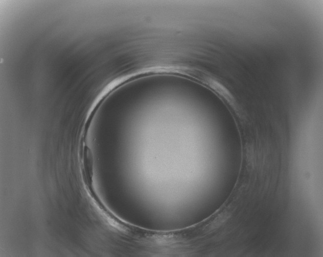 X0000081371428200701182127
