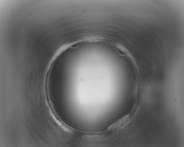 X0000081371429200701182127