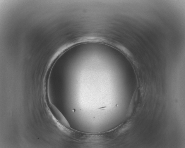 X0000081371430200701182127