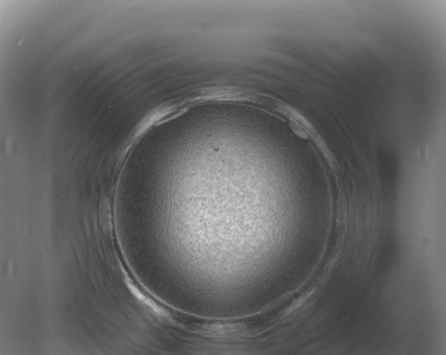 X0000081371433200701182127