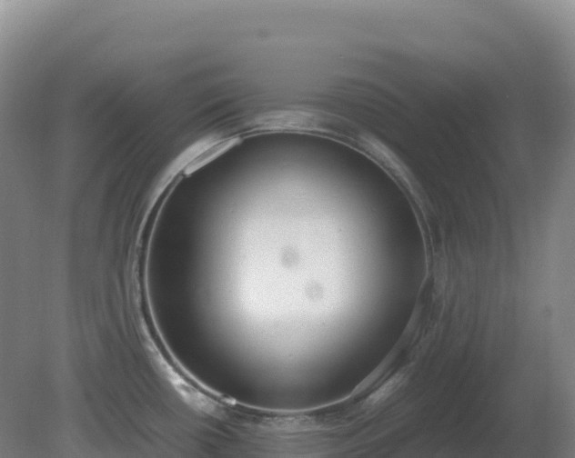 X0000081371434200701182127