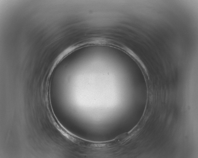 X0000081371437200701182127