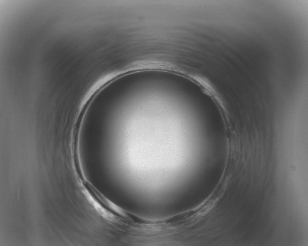 X0000081371438200701182127