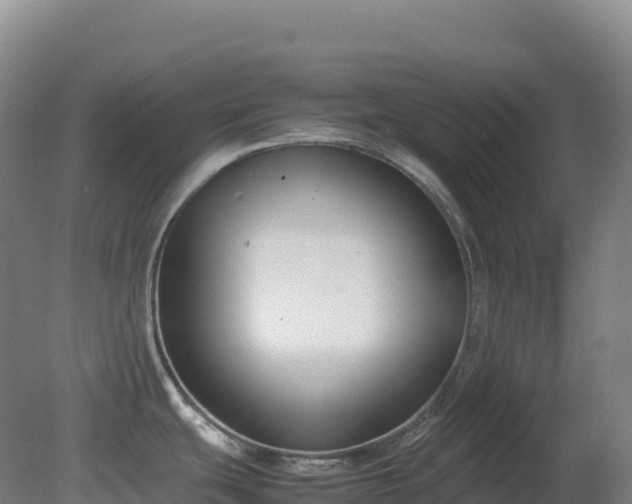 X0000081371439200701182127