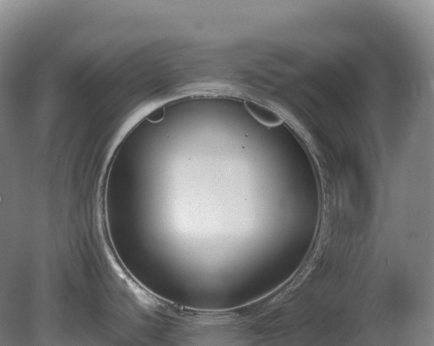 X0000081371440200701182127