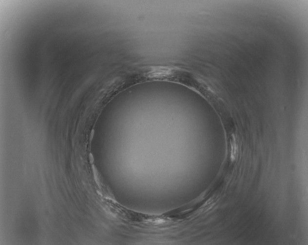 X0000081371441200701182126
