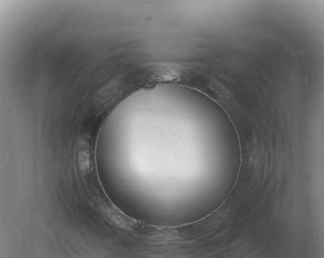 X0000081371442200701182126