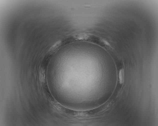 X0000081371443200701182126