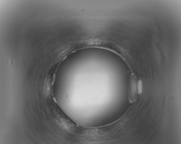 X0000081371444200701182126