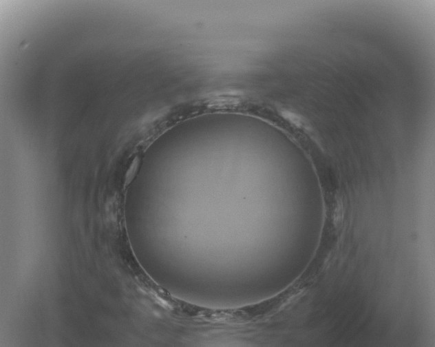 X0000081371445200701182126