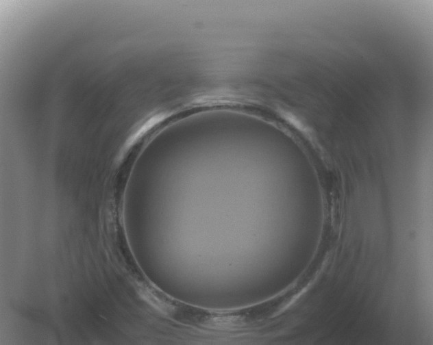 X0000081371453200701182126