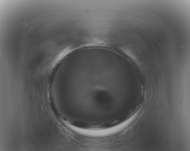 X0000081371455200701182126