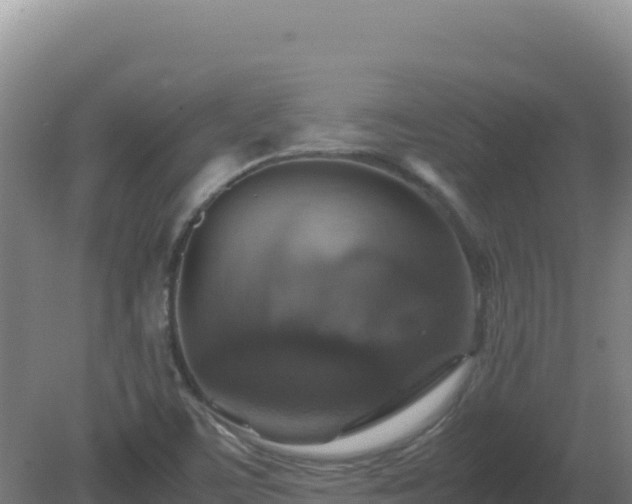 X0000081371459200701182126