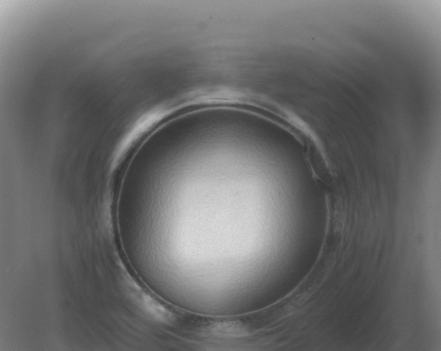 X0000081371464200701182126