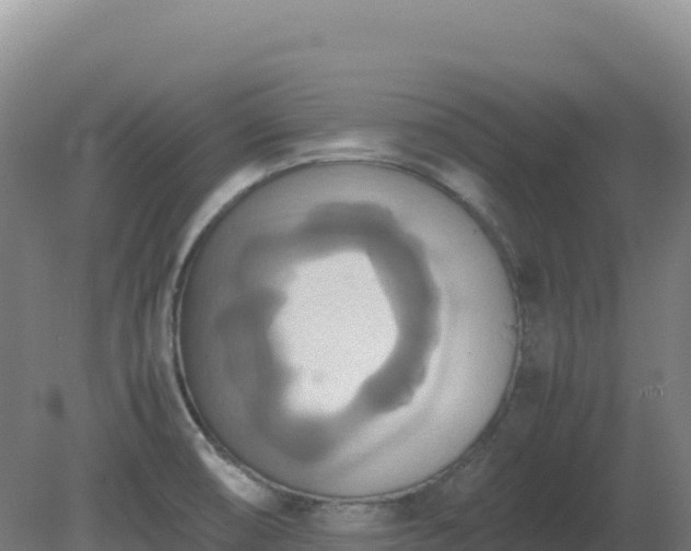 X0000081371474200701182126