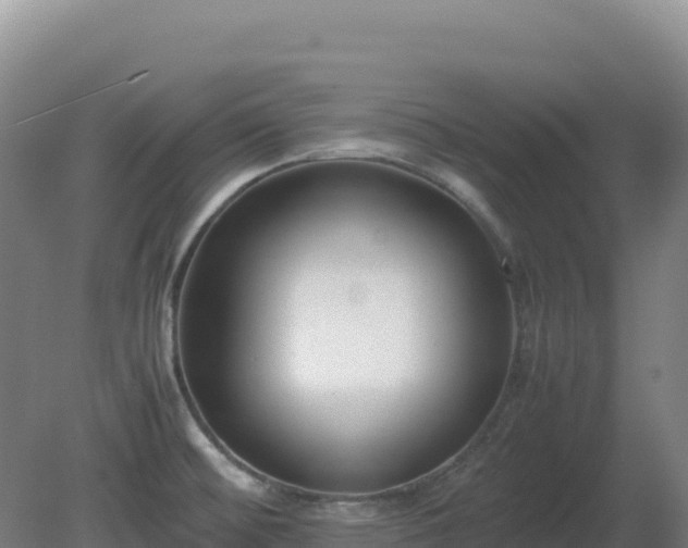 X0000081371476200701182126