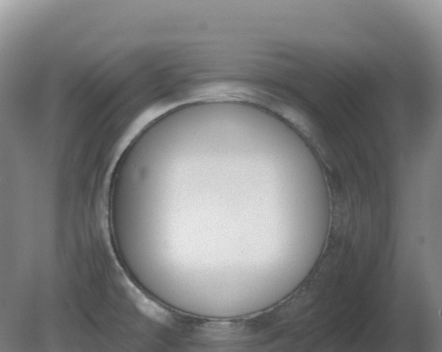 X0000081371478200701182126