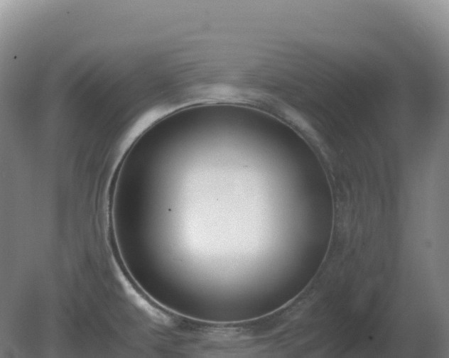 X0000081371479200701182126