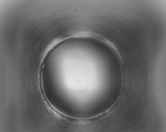 X0000081371480200701182126