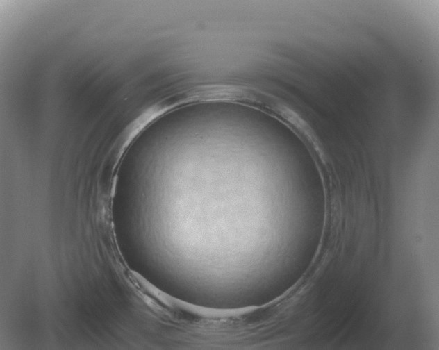 X0000081371481200701182126
