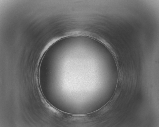 X0000081371486200701182126