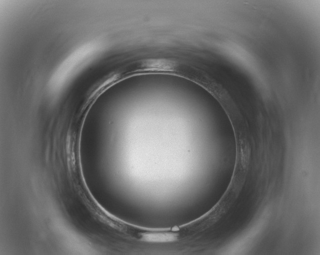 X0000081371487200701182126
