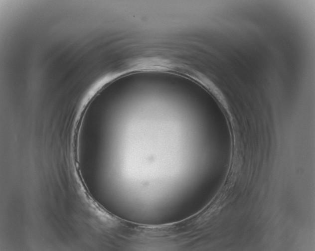 X0000081371488200701182126