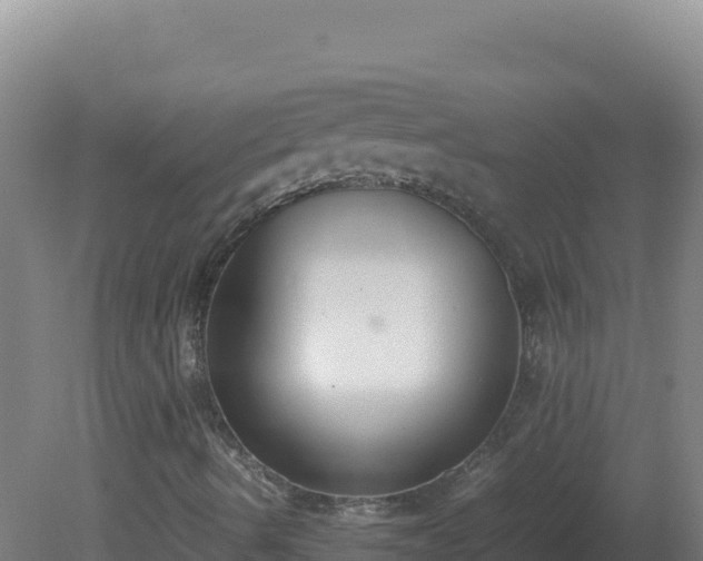 X0000081371490200701182125