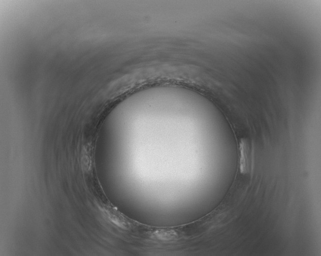 X0000081371491200701182125