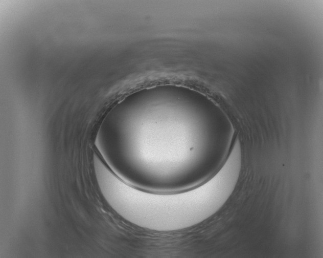X0000081371492200701182125