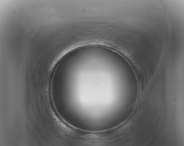 X0000081371500200701182125
