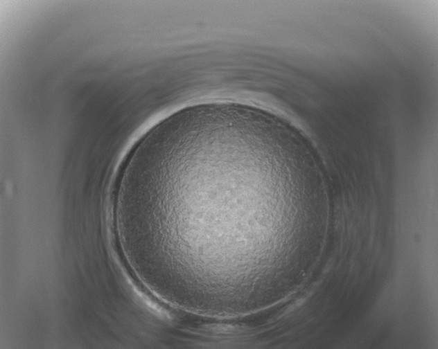 X0000081371517200701182125