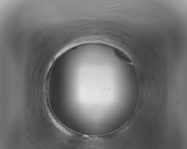 X0000081371526200701182125