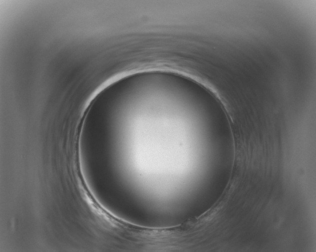 X0000081371534200701182126