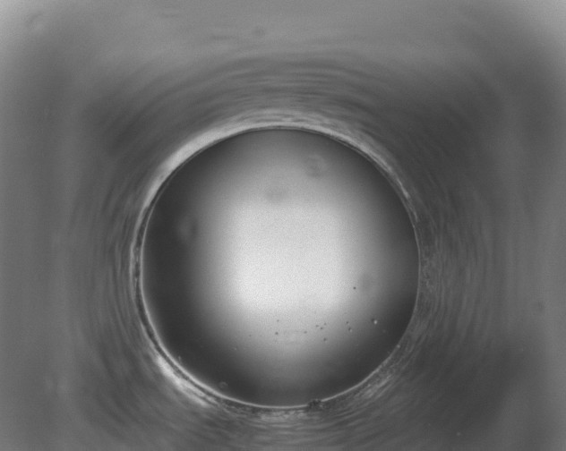 X0000081371535200701182126