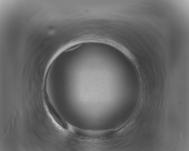 X0000081371536200701182126