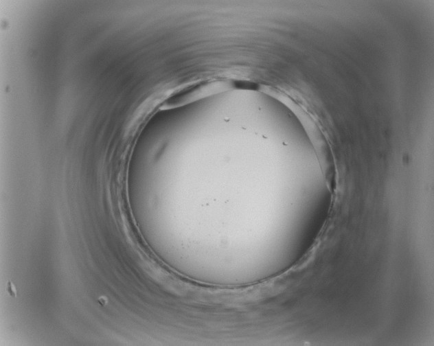 X0000081370001200701252026