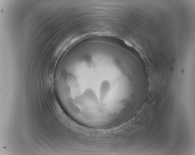 X0000081370002200701252026