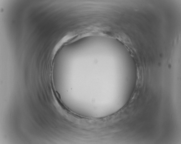 X0000081370003200701252026