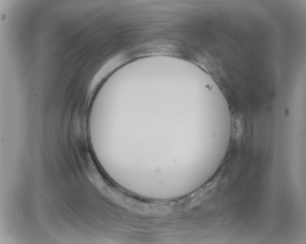 X0000081370004200701252026