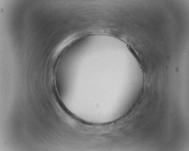 X0000081370005200701252026